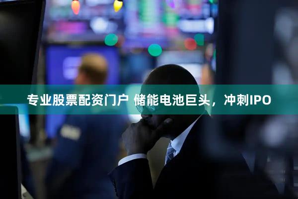 专业股票配资门户 储能电池巨头，冲刺IPO